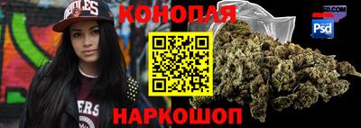 гашик Кулебаки
