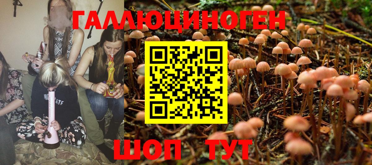 Псилоцибиновые грибы мухоморы Армавир