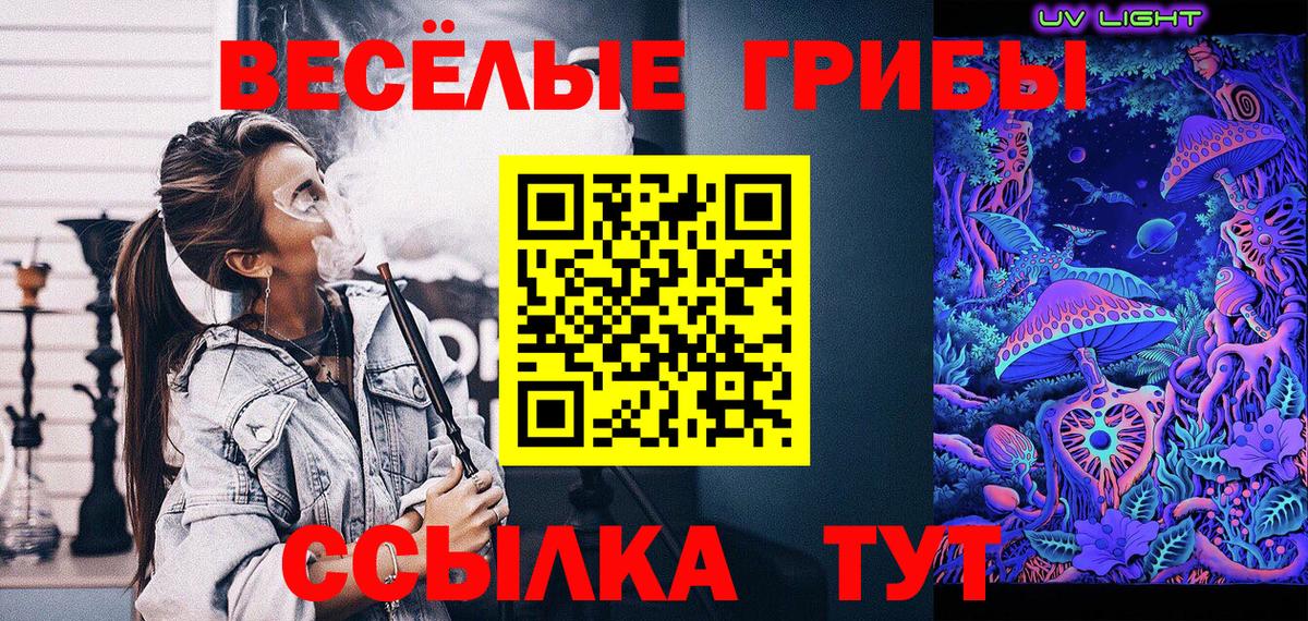 Псилоцибиновые грибы мухоморы  Армавир  Псилоцибиновые грибы Cubensis 