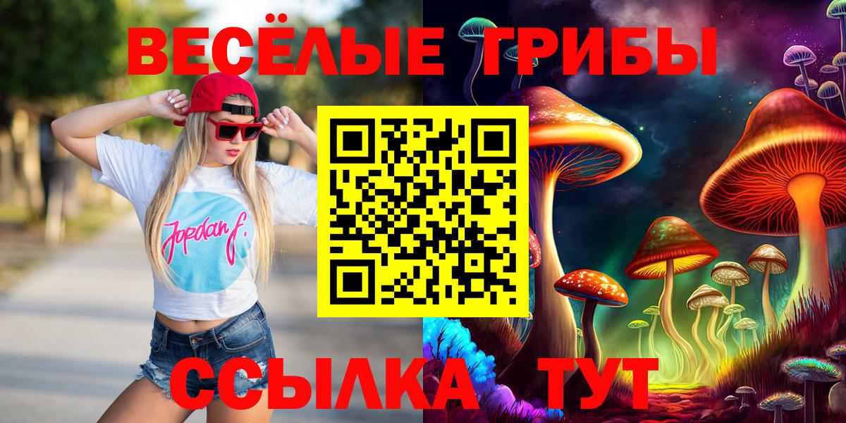 Галлюциногенные грибы GOLDEN TEACHER  купить  цена  Армавир  Вход с VPN 