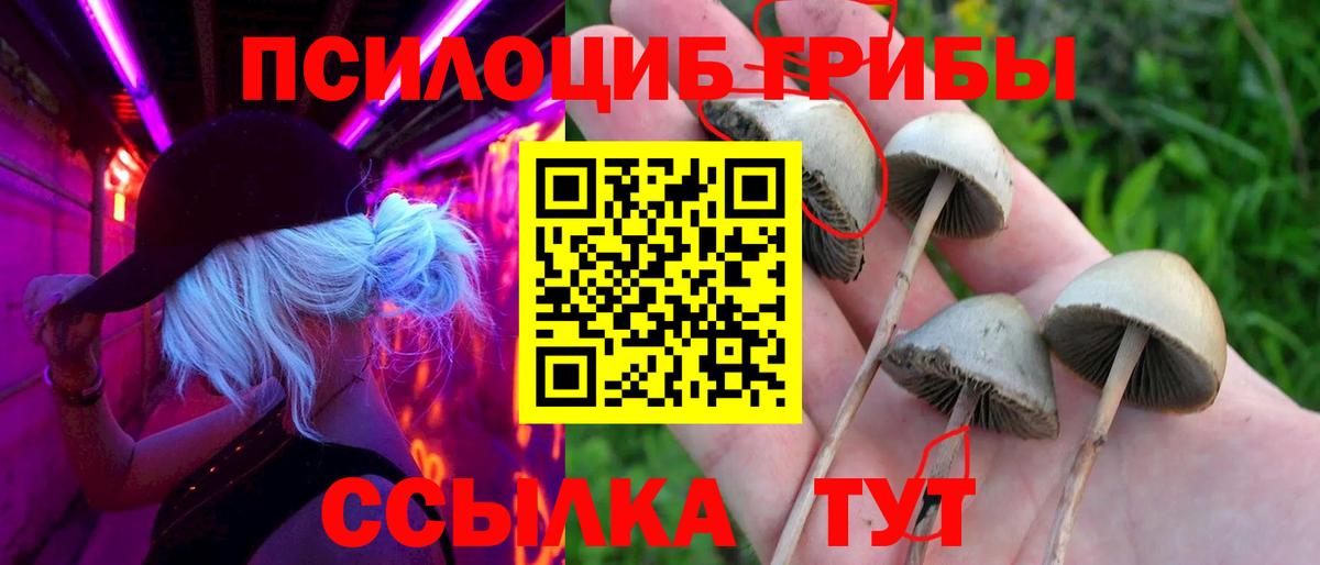 Псилоцибиновые грибы Magic Shrooms Армавир